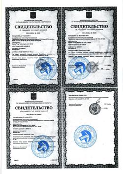 12437-Сертификат Термометр инфракрасный B.Well WF-4000 бесконтактный, 1 шт-3