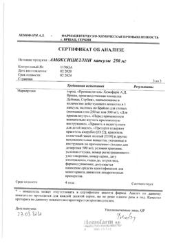 12783-Сертификат Амоксициллин, капсулы 250 мг 16 шт-14