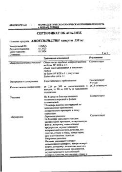 12783-Сертификат Амоксициллин, капсулы 250 мг 16 шт-38