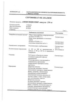12783-Сертификат Амоксициллин, капсулы 250 мг 16 шт-21