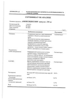 12783-Сертификат Амоксициллин, капсулы 250 мг 16 шт-20