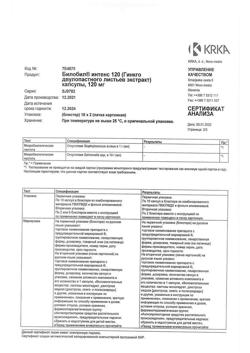 13184-Сертификат Билобил Интенс, капсулы 120 мг 20 шт-2