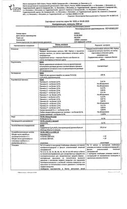 15600-Сертификат Азитромицин, капсулы 250 мг 6 шт-1