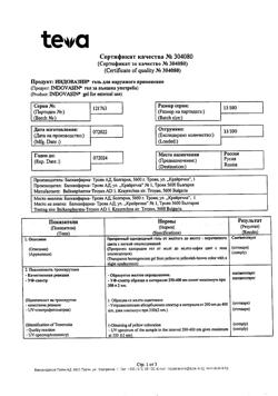 19881-Сертификат Индовазин, гель для наружного применения 45 г 1 шт-18