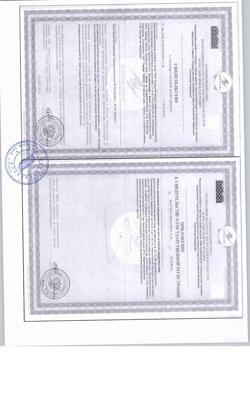 21504-Сертификат Бэби Формула Мишки Мультивитамины жевательные пастилки по 2 г, 30 шт-2