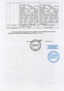 21891-Сертификат Гипоксен, капсулы 250 мг 30 шт-13