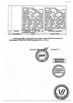 21891-Сертификат Гипоксен, капсулы 250 мг 30 шт-19