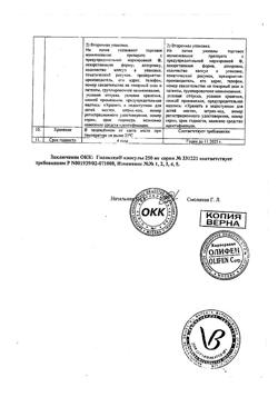 21891-Сертификат Гипоксен, капсулы 250 мг 30 шт-25