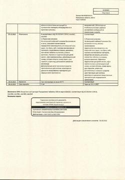 21928-Сертификат Парацетамол, таблетки 500 мг 10 шт-88