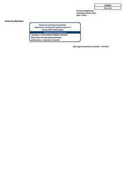 22536-Сертификат Парацетамол, таблетки 500 мг 20 шт-33