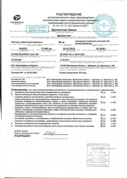 3489-Сертификат Дулоксетин Канон, капсулы кишечнорастворимые 60 мг 28 шт-6