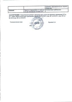 8911-Сертификат Цинковая, паста 25 г 1 шт-12