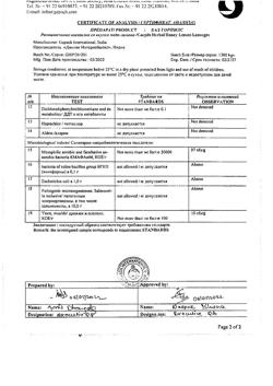 9061-Сертификат Горпилс пастилки БАД с лимонно-медовым вкусом растительные, 24 шт-5